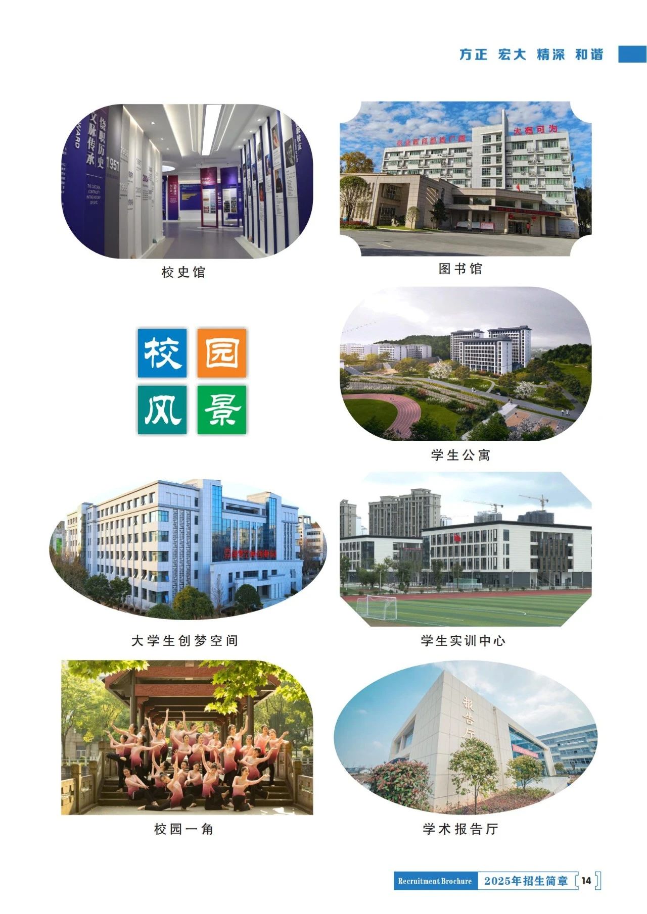 d04dae14-2258-484b-b7ce-1240976124c3.jpg