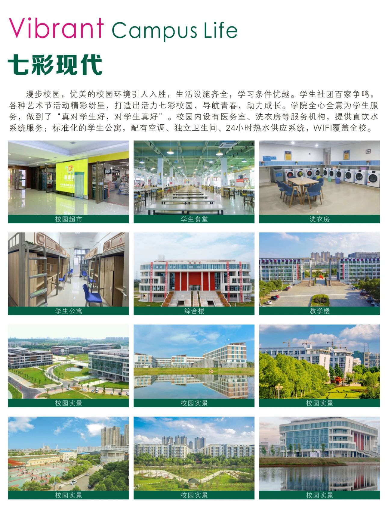 81673ad9-ec6a-4b94-8ac2-fd8ea46bf845.jpg