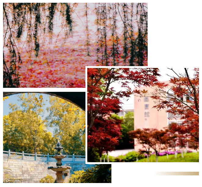 e4bf93eb-647c-4e77-ba6e-860d58ee6a44.png