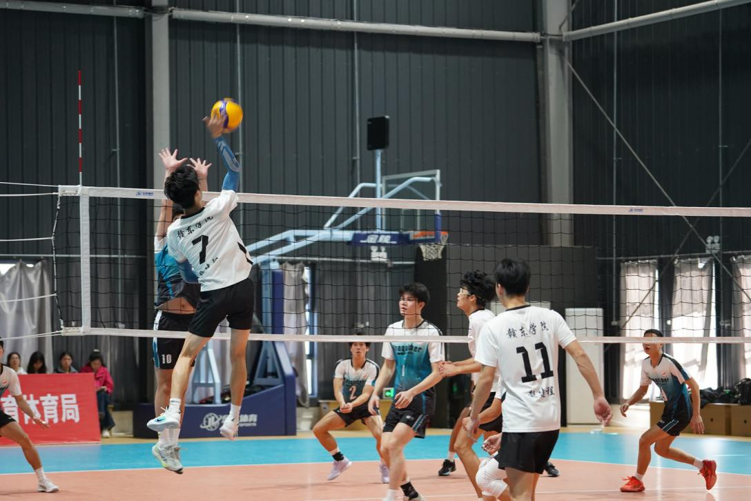 73dddd4a-3b70-42a4-882f-4fac7fb2bb9e.png 73dddd4a-3b70-42a4-882f-4fac7fb2bb9e.png