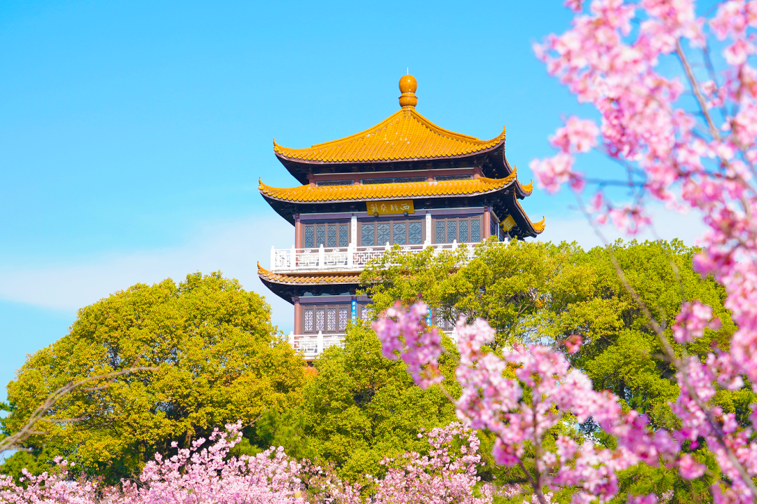 01dc8006-7a84-4c3f-8102-ae7e3909fe8f.png