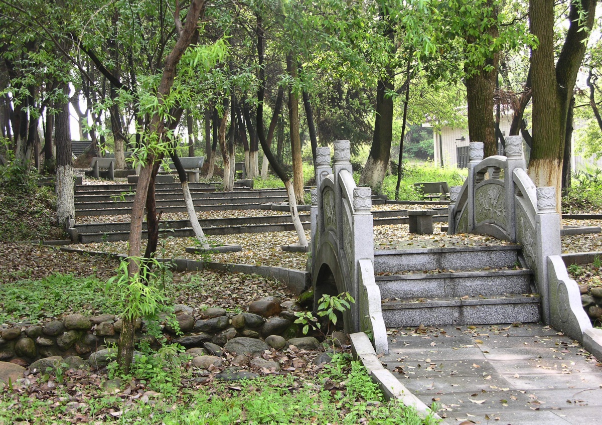 DSCN1031.jpg
