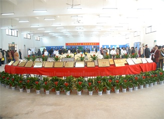 获奖展示照片.jpg